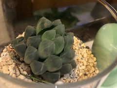 -东门头·江鲜小馆(新天地店)