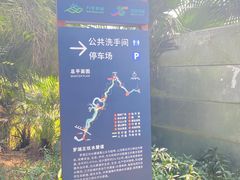 -梧桐山风景名胜区