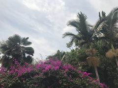 景点-南诏风情岛