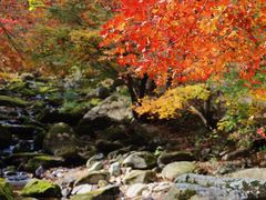 -本溪老边沟风景区
