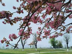 -汉长安城未央宫国家考古遗址公园