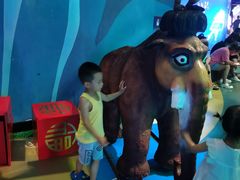 -烟台海昌鲸鲨海洋公园