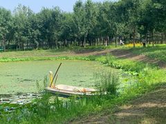 -东郊湿地公园