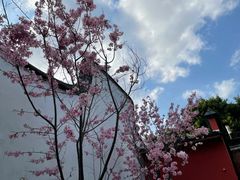 -乌山风景区