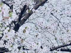 -龙美术馆(西岸馆)