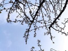 -天鹅湖体育公园