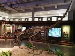 -自贡恐龙博物馆