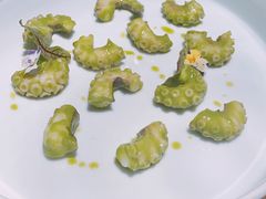 芥末青酱八爪鱼-CHIC1699远洋私厨