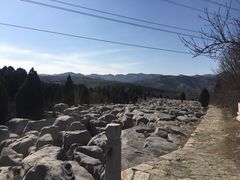 -原山国家森林公园