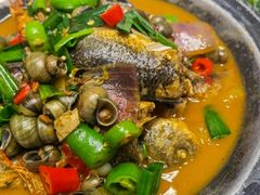 -阿露佳·舌尖上的安吉菜