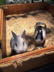 -酷嗒动物文化乐园(cutezoo西溪乐天城店)