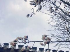-三里河公园