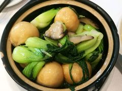 -海派铜锣湾(打浦路店)