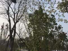 -尚贤河湿地