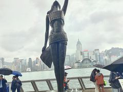 -星光大道