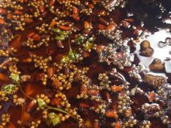 -味之绝热血美蛙鱼火锅(中坝店)