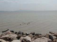 -深圳湾公园(南山区)