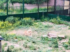 -新疆天山野生动物园