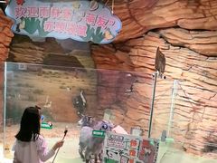 -正佳雨林生态植物园