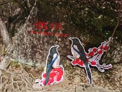 -黄山翡翠谷景区