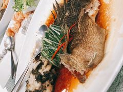 清蒸笋壳鱼-巴音浩日娲·蒙餐(双林东路店)