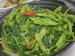 -凤城康记饭店