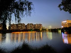 -南翔镇银翔湖公园