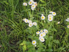 -洋湖国家湿地公园