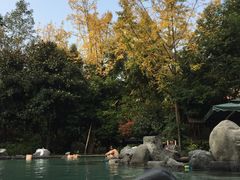 -青城道汤池