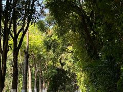 -东莞植物园