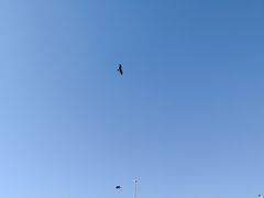 -灌篮高手动画打卡地