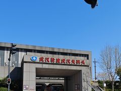 -武汉关码头(轮渡站)