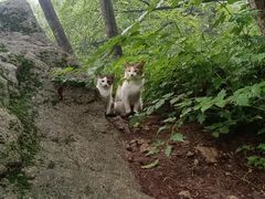 -崂山巨峰游览区