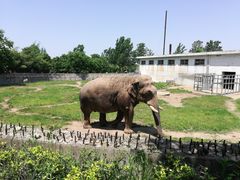 -西安秦岭野生动物园