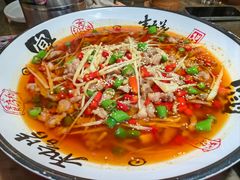 -田园印象·成都土菜院子(华阳店)