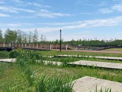 -春花秋色城市公园