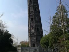 -上海佘山国家森林公园天马山园