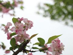 -白鹭湾湿地公园