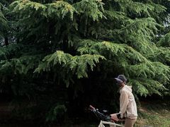 -唐城墙遗址公园