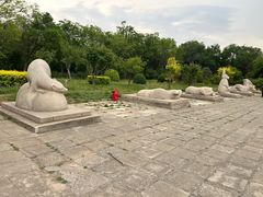 -北京十三陵国家森林公园蟒山景区