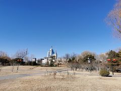 -莲花池公园