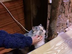 -渔太泰漓江小馆·广西融合菜(西街店)