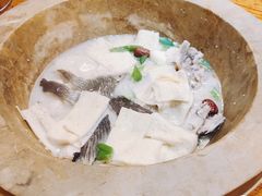 -滇香肴·云南菜蒸汽石锅鱼(云南北路店)