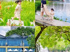 -中山喜来登酒店