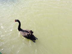 iphone_upload_pic-苏州太湖国家湿地公园