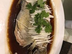 -金杏·粘卷子 烤鸭 农家菜