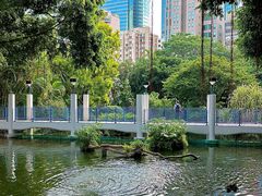 -九龙公园