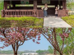 -南海子公园