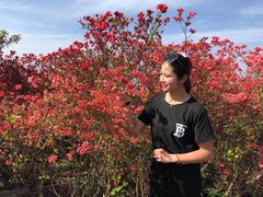 -瑞安圣井山景区