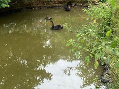 -泉州海丝野生动物世界